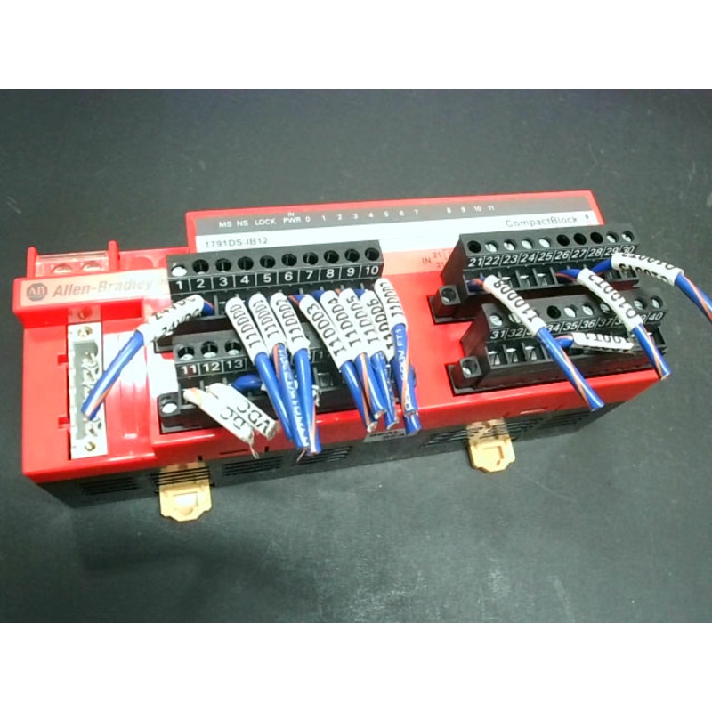 Allen Bradley 1791DS-IB12 Safety Compact Block 12 Point Digital Module 24VDC (Excess Cords WIl be Romoved before Shiping)